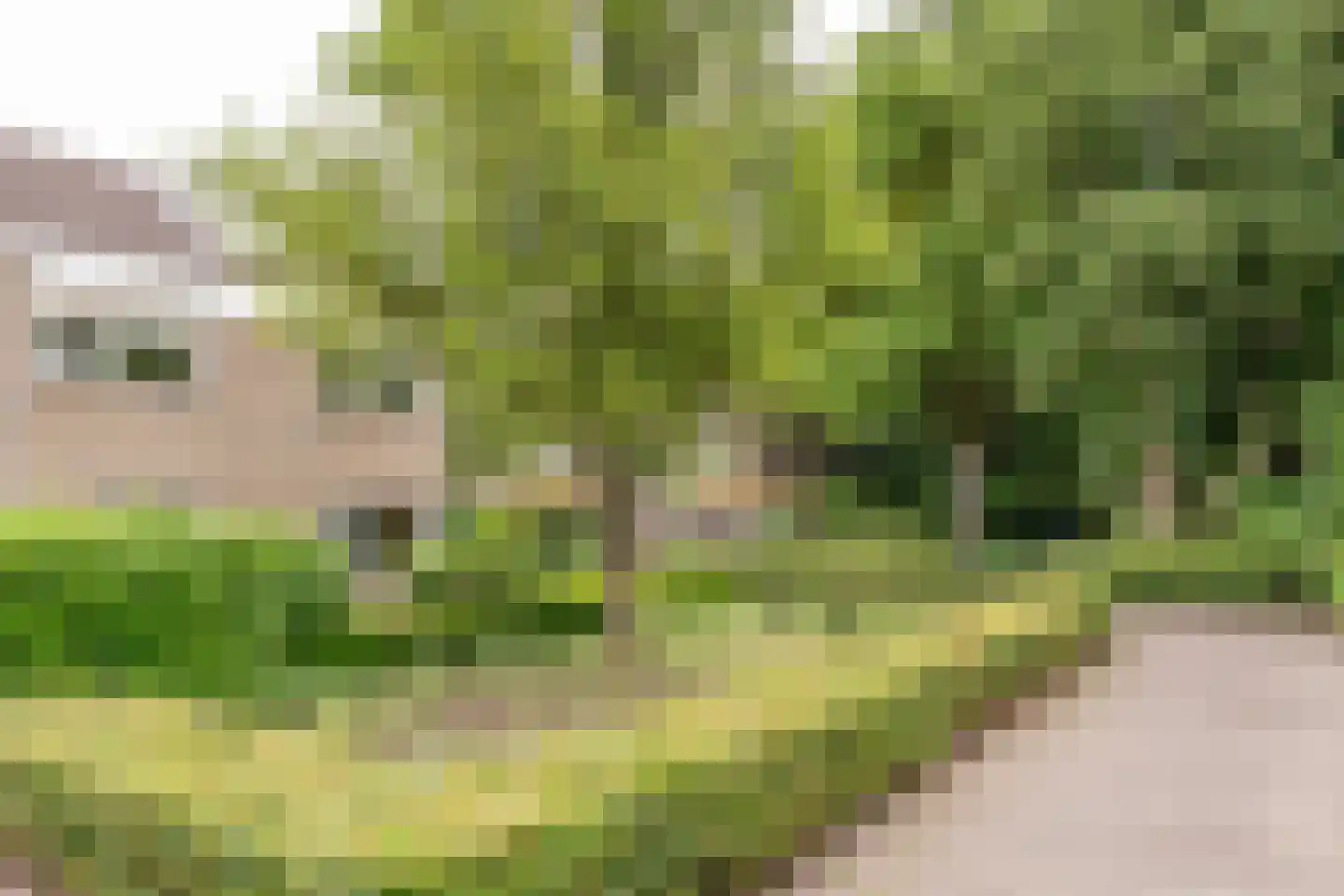 Biezebeek 13 Veldhoven thumbnail 38