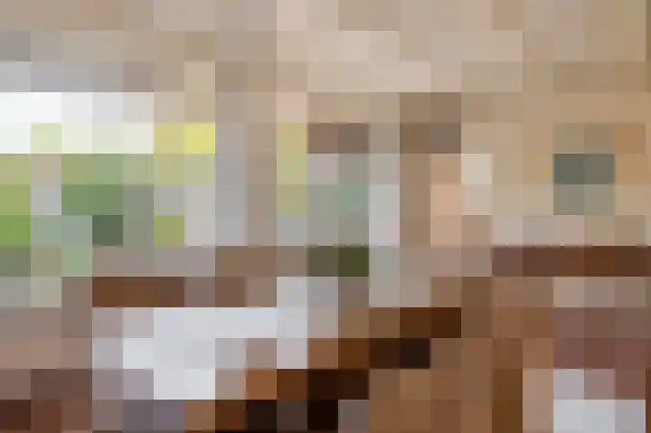 Biezebeek 14 Veldhoven thumbnail 16
