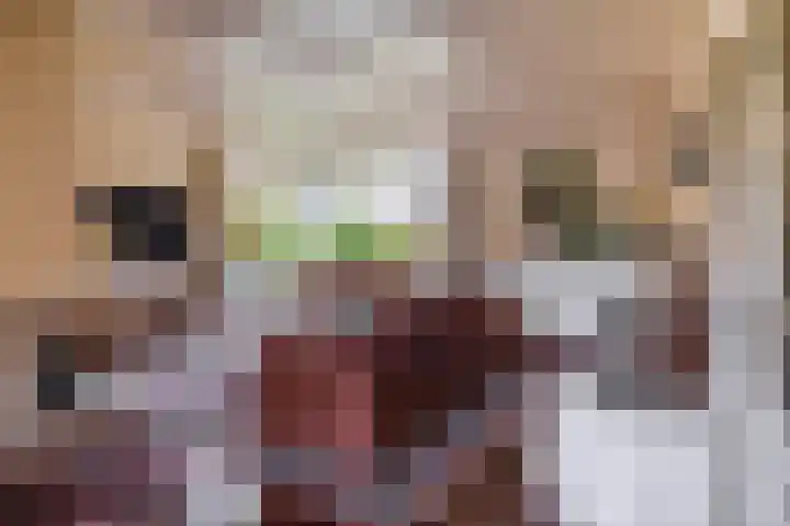 Biezebeek 14 Veldhoven thumbnail 17