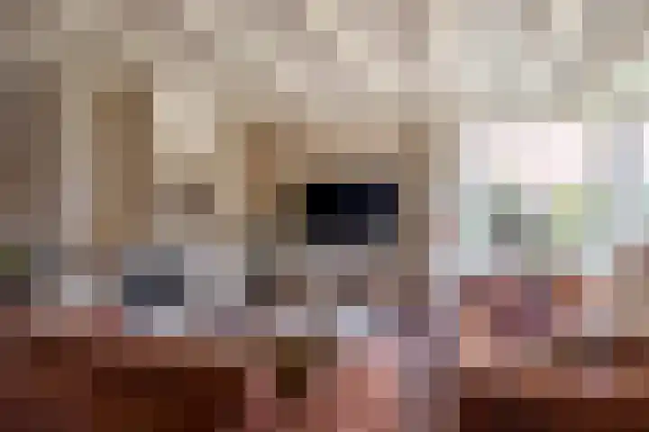 Biezebeek 14 Veldhoven thumbnail 19