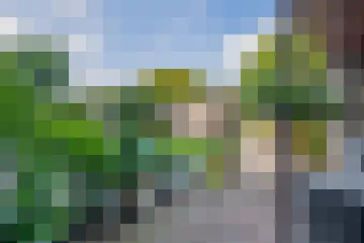 Biezebeek 14 Veldhoven thumbnail 27