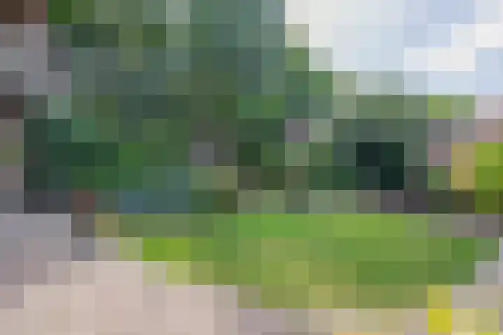 Biezebeek 14 Veldhoven thumbnail 28