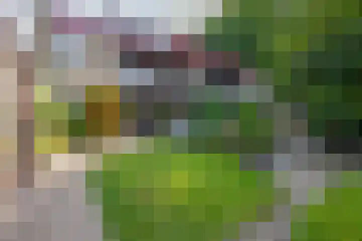 Biezebeek 14 Veldhoven thumbnail 29