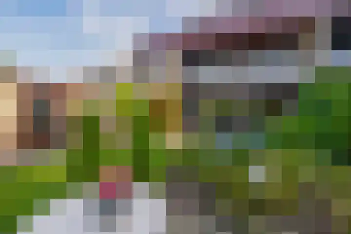 Biezebeek 14 Veldhoven thumbnail 30