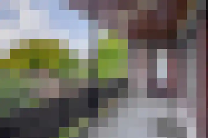 Biezebeek 14 Veldhoven thumbnail 35