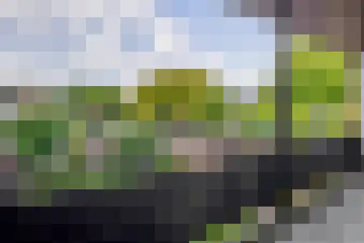 Biezebeek 14 Veldhoven thumbnail 36