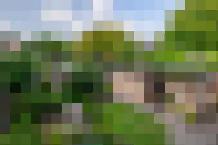 Biezebeek 14 Veldhoven thumbnail 37