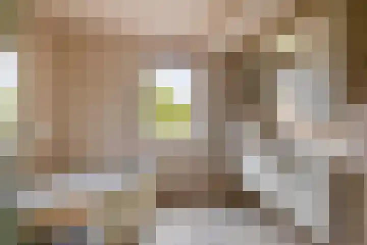 Biezebeek 14 Veldhoven thumbnail 39