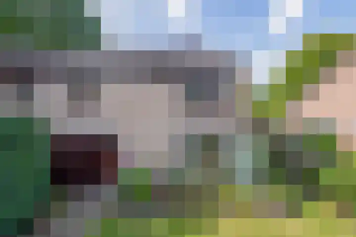 Biezebeek 14 Veldhoven thumbnail 5