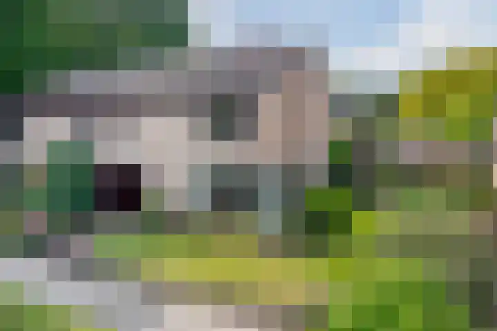 Biezebeek 14 Veldhoven thumbnail 9