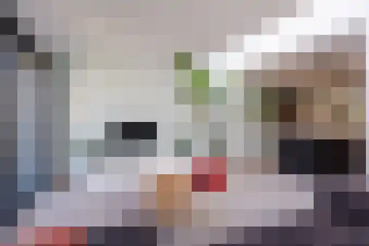 Biezebeek 3 Veldhoven thumbnail 11