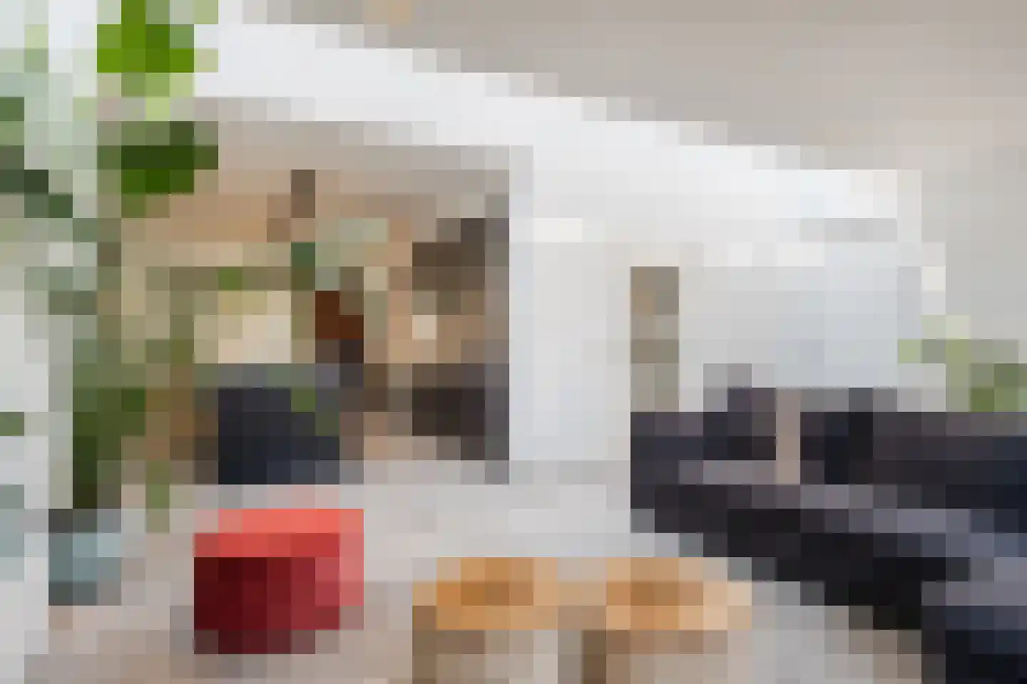 Biezebeek 3 Veldhoven thumbnail 15