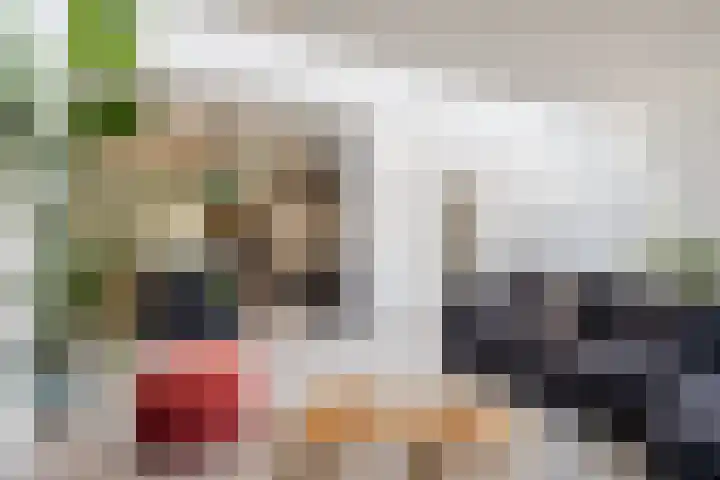 Biezebeek 3 Veldhoven thumbnail 15