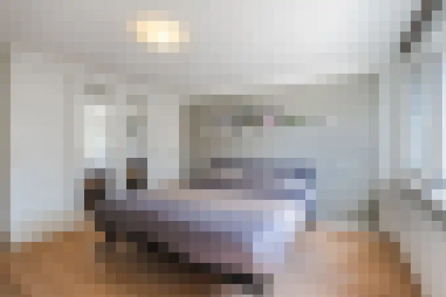 Biezebeek 3 Veldhoven thumbnail 26