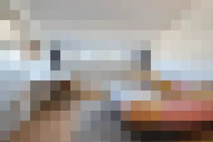 Biezebeek 3 Veldhoven thumbnail 34