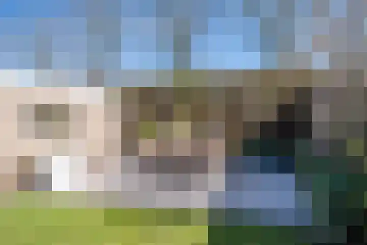 Biezebeek 3 Veldhoven thumbnail 39
