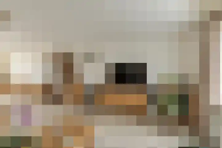 Biezelaar 4 Rijen thumbnail 10
