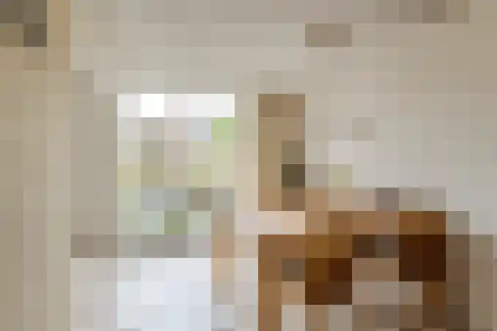 Biezelaar 4 Rijen thumbnail 11