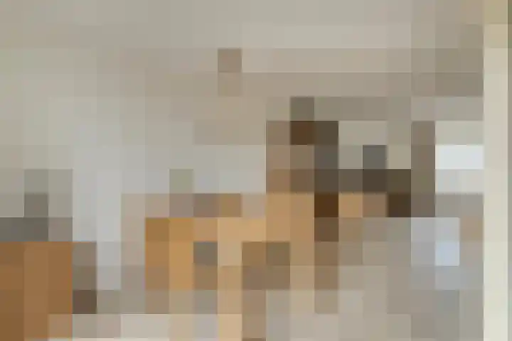 Biezelaar 4 Rijen thumbnail 12