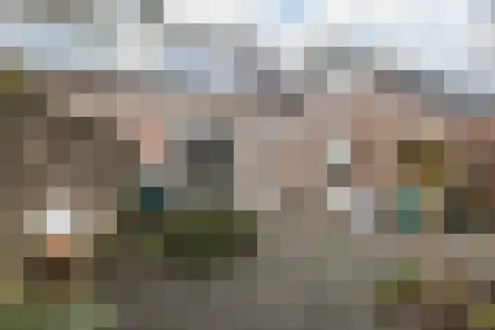 Biezelaar 4 Rijen thumbnail 15