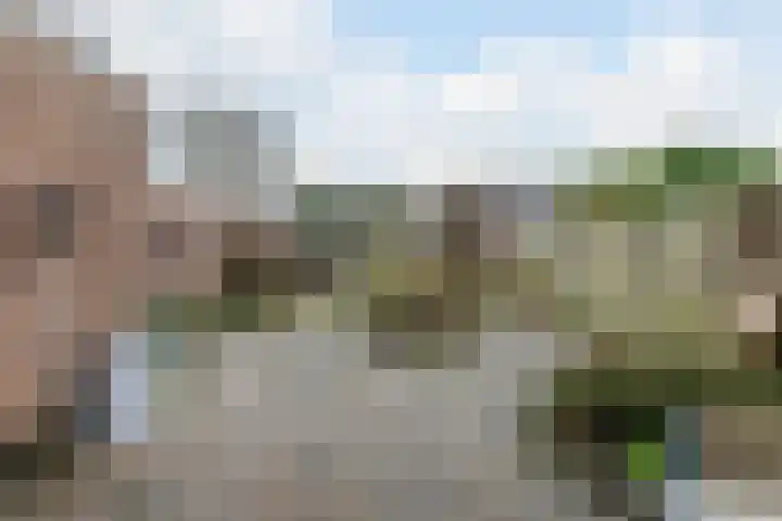 Biezelaar 4 Rijen thumbnail 16