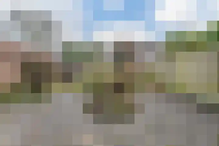 Biezelaar 4 Rijen thumbnail 17