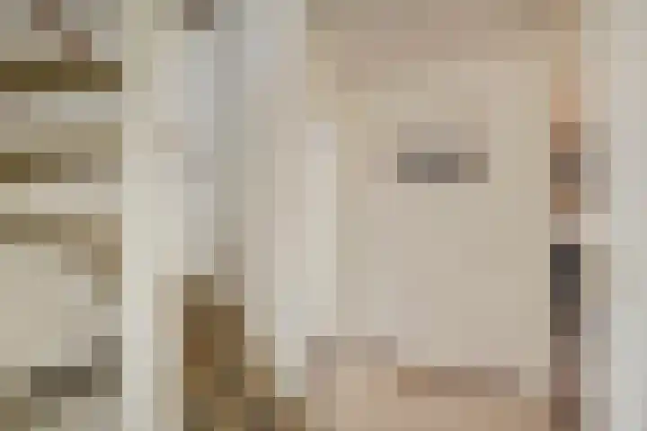 Biezelaar 4 Rijen thumbnail 19