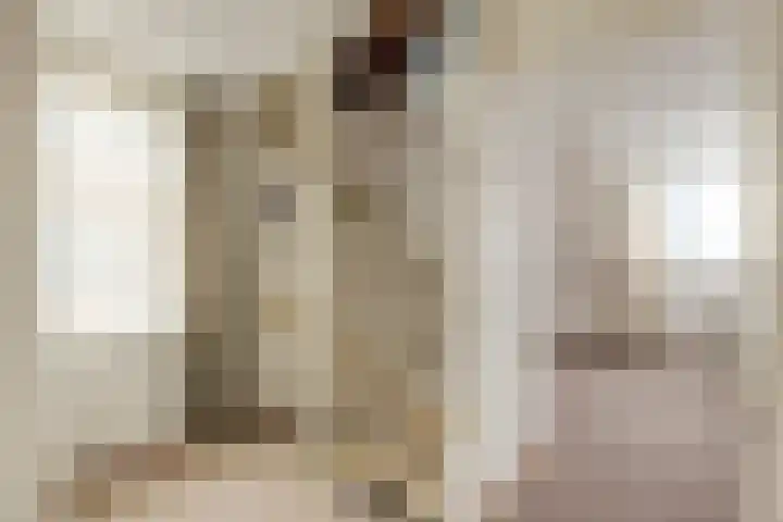 Biezelaar 4 Rijen thumbnail 20
