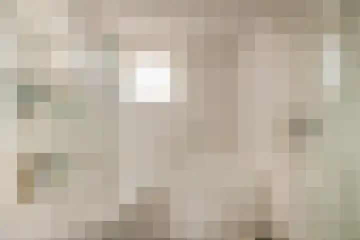 Biezelaar 4 Rijen thumbnail 26