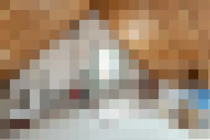 Biezelaar 4 Rijen thumbnail 31