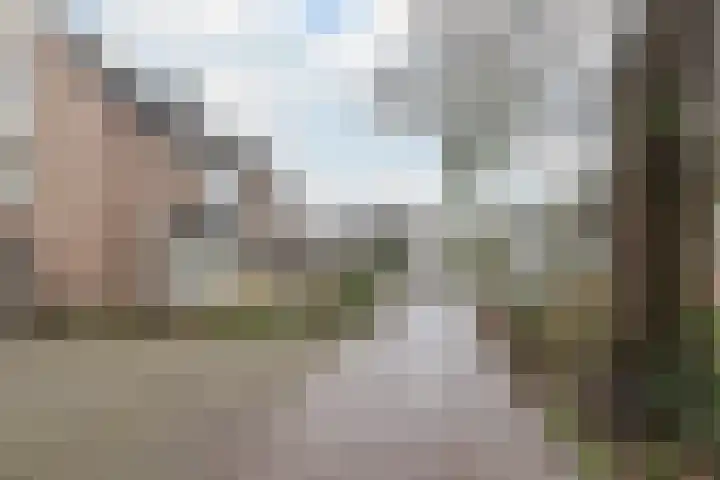 Biezelaar 4 Rijen thumbnail 32