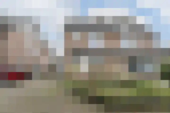 Biezelaar 4 Rijen thumbnail 33