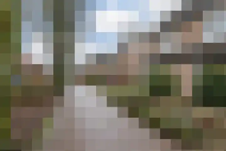 Biezelaar 4 Rijen thumbnail 34