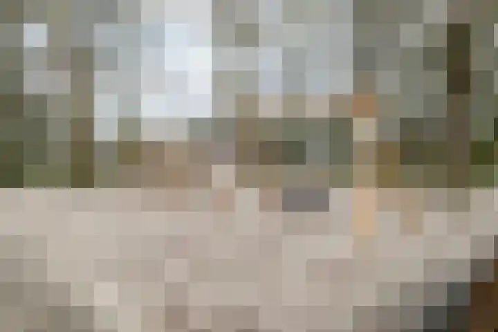 Biezelaar 4 Rijen thumbnail 35