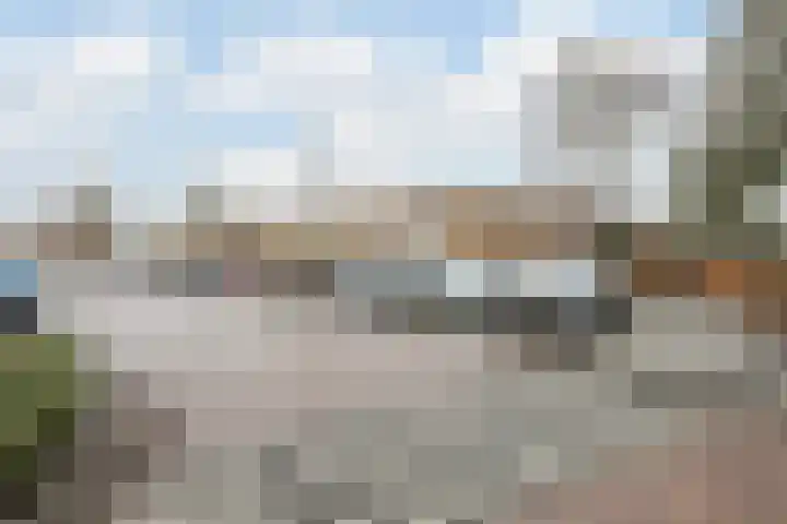 Biezelaar 4 Rijen thumbnail 36