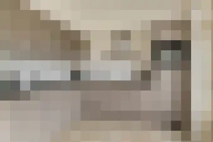 Biezelaar 4 Rijen thumbnail 4
