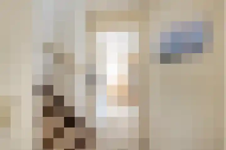 Biezelaar 4 Rijen thumbnail 6