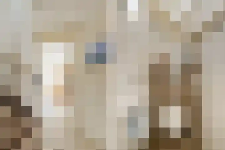 Biezelaar 4 Rijen thumbnail 7
