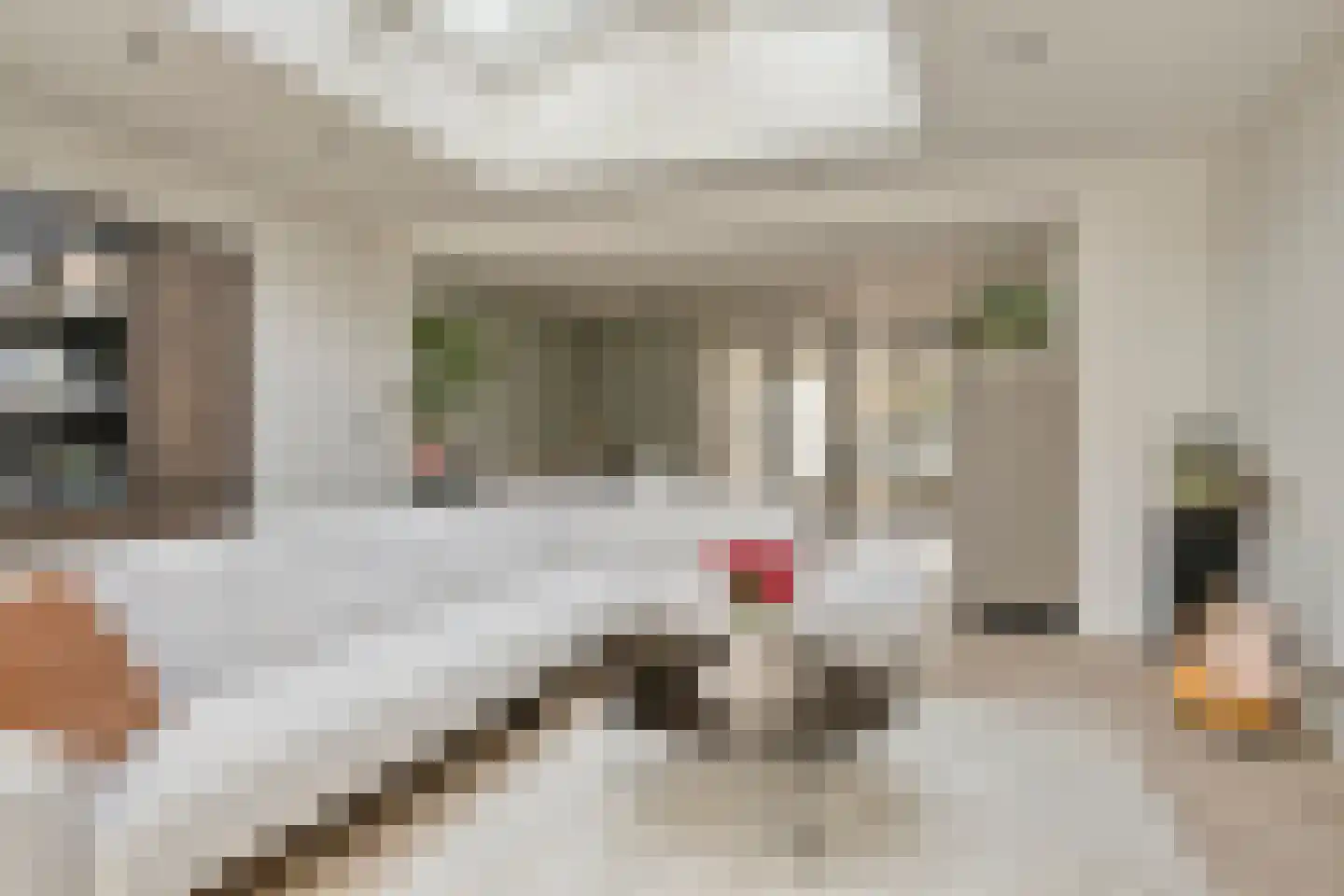 Biezelingsestraat 24 A Kapelle thumbnail 14