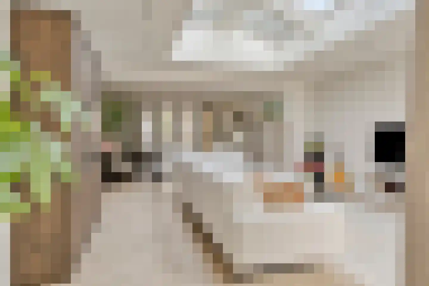 Biezelingsestraat 24 A Kapelle thumbnail 4