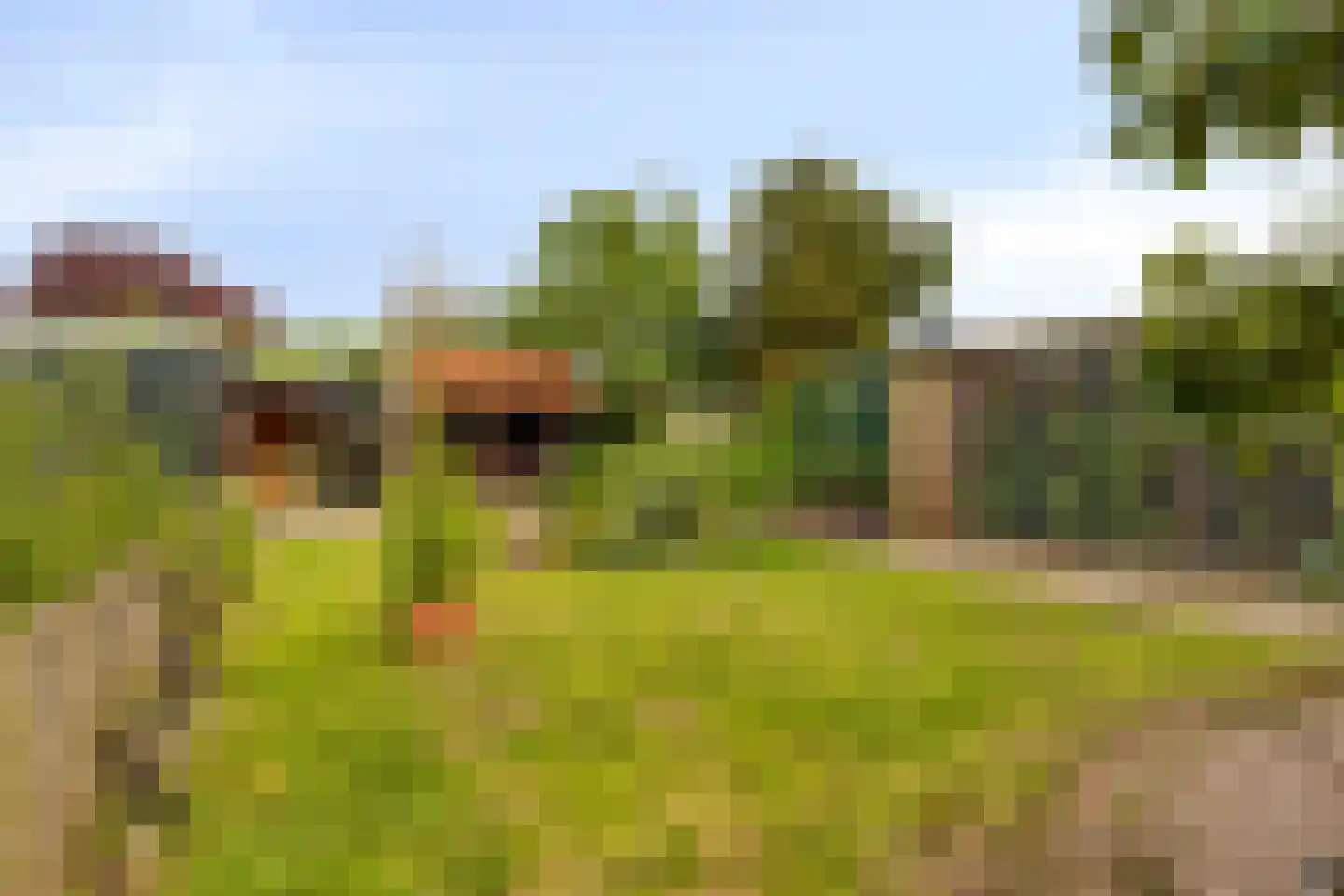 Biezelingsestraat 29 Kapelle thumbnail 10