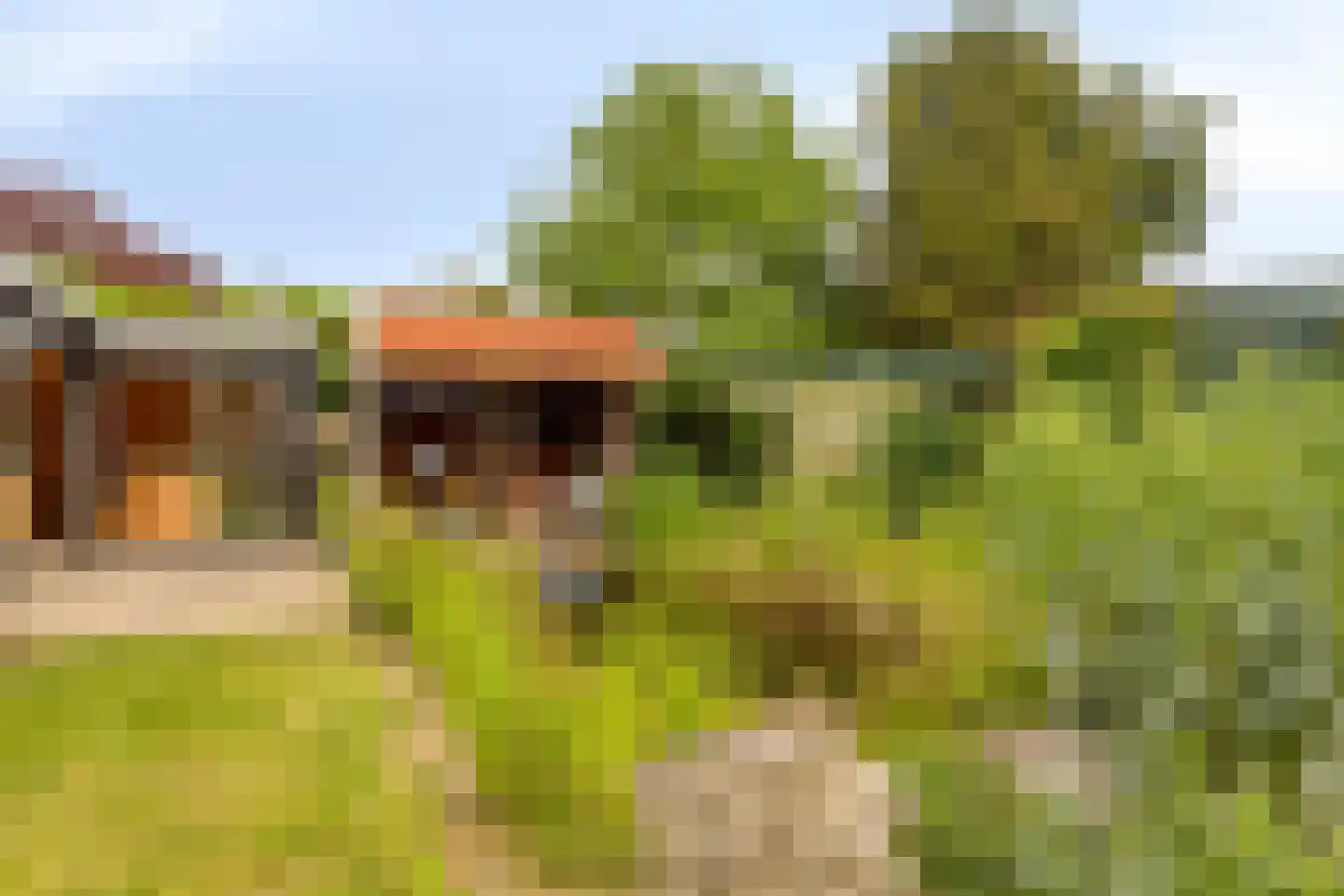 Biezelingsestraat 29 Kapelle thumbnail 11