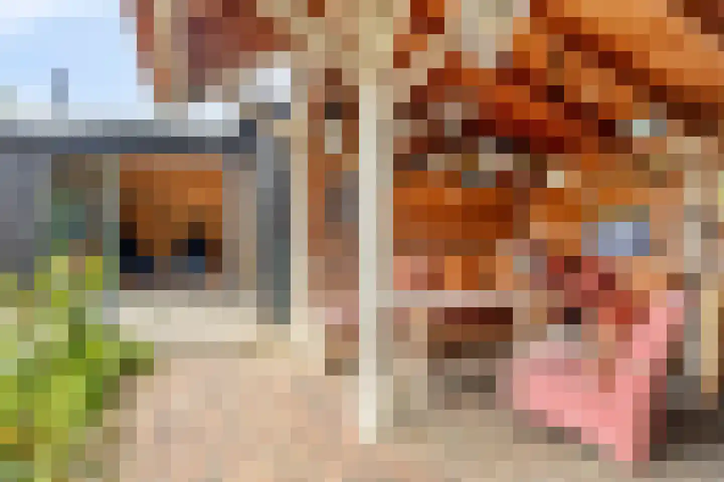 Biezelingsestraat 29 Kapelle thumbnail 18