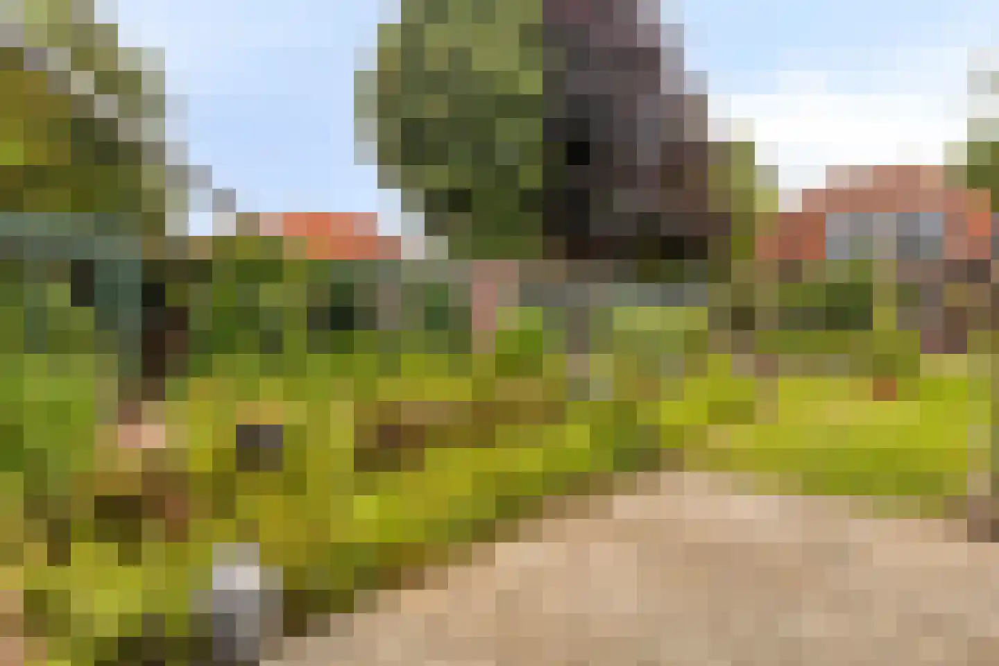 Biezelingsestraat 29 Kapelle thumbnail 19