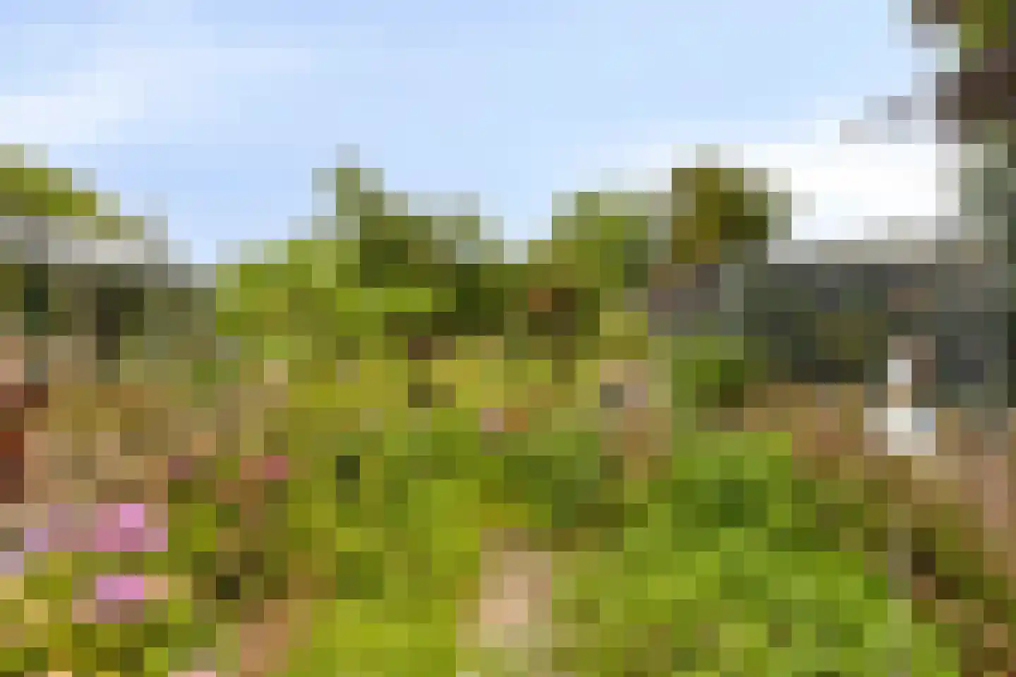 Biezelingsestraat 29 Kapelle thumbnail 21