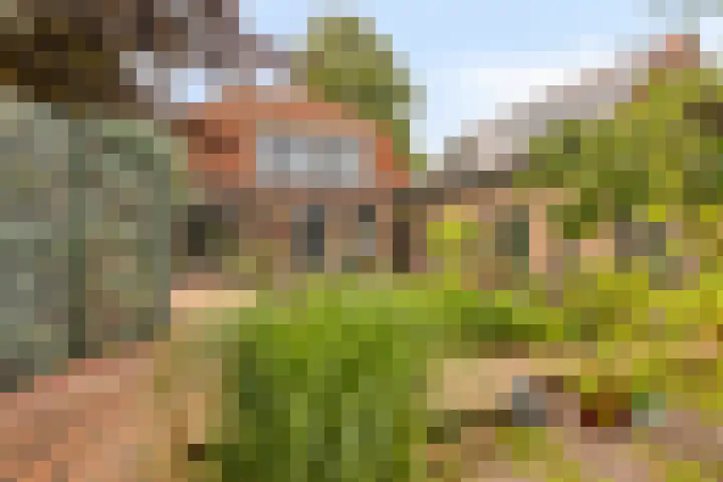 Biezelingsestraat 29 Kapelle thumbnail 23