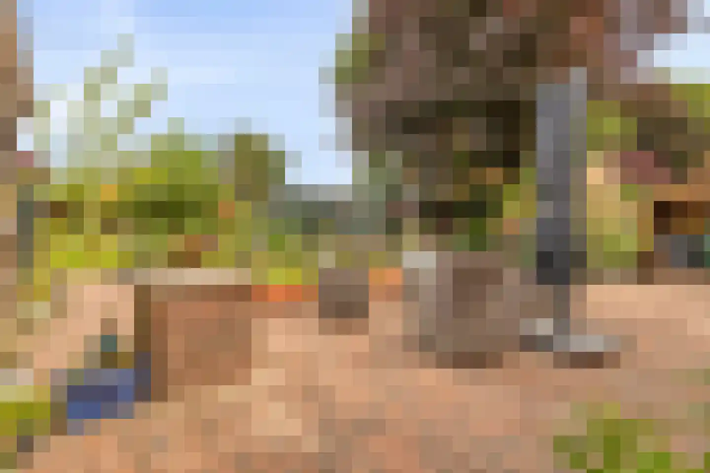 Biezelingsestraat 29 Kapelle thumbnail 24