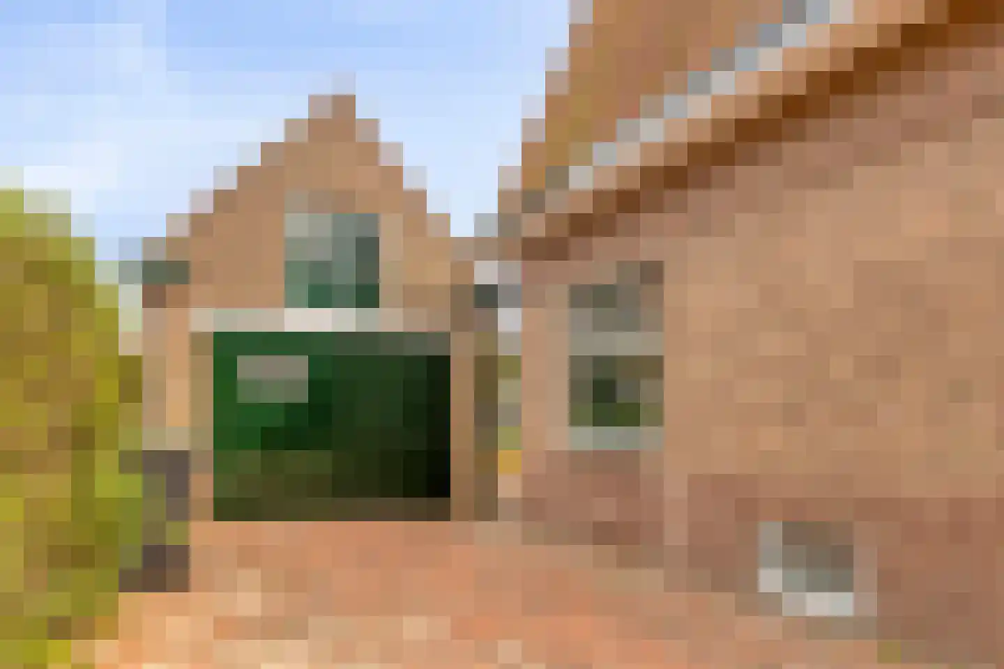 Biezelingsestraat 29 Kapelle thumbnail 26