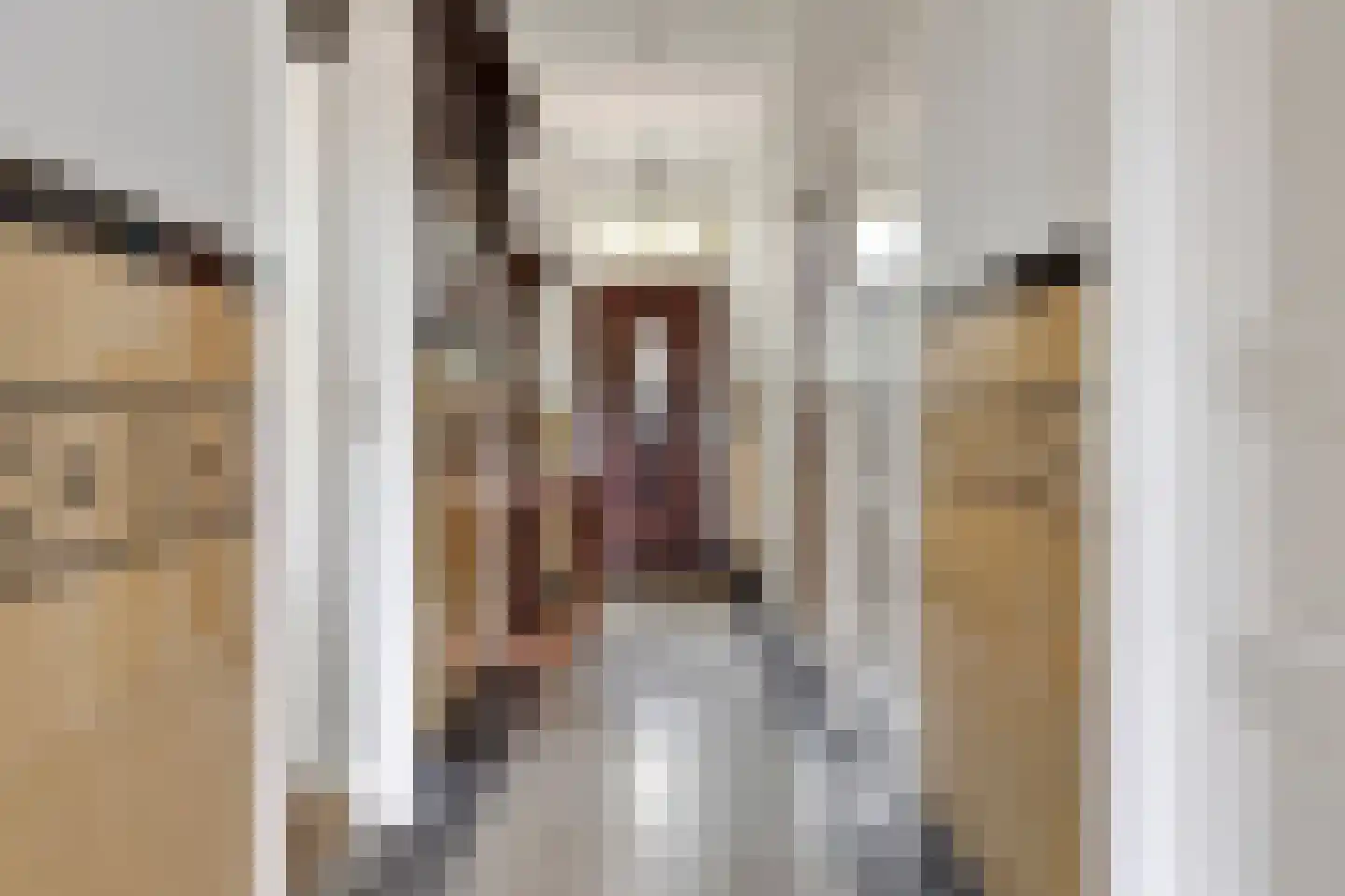 Biezelingsestraat 29 Kapelle thumbnail 30