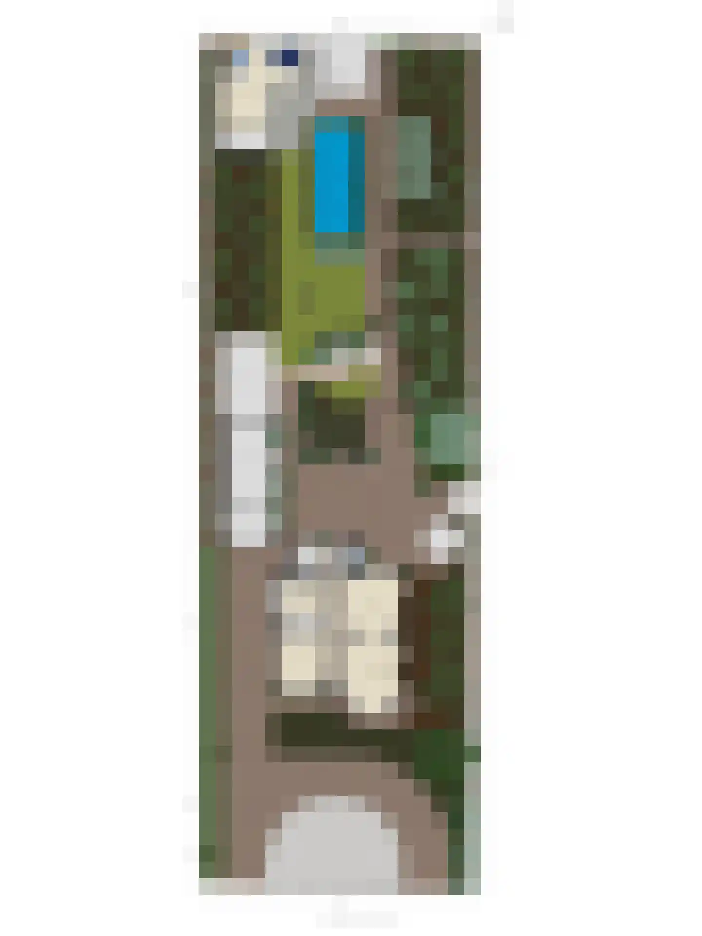 Biezelingsestraat 29 Kapelle thumbnail 6